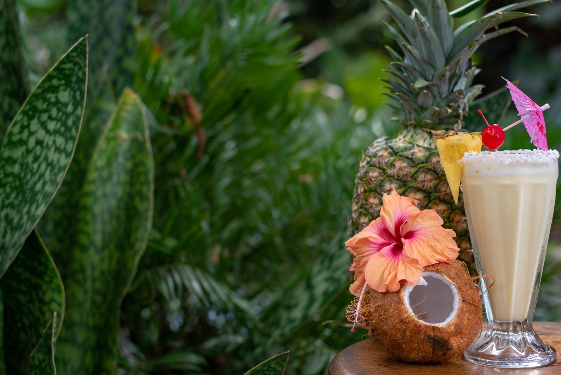 Hotel Banana Azul - Adults Only Puerto Viejo de Talamanca Zewnętrze zdjęcie